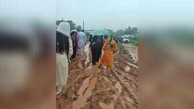 Visitors brave muddy track to attend Haryana CM’s Van Mahotsav event in Manesar