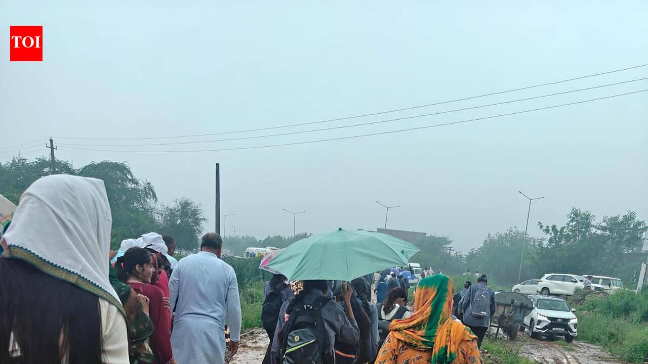 Visitors brave muddy track to attend Haryana CM's Van Mahotsav event in Manesar