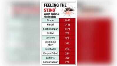 Worst-hit Sitapur now sees malaria cases fall