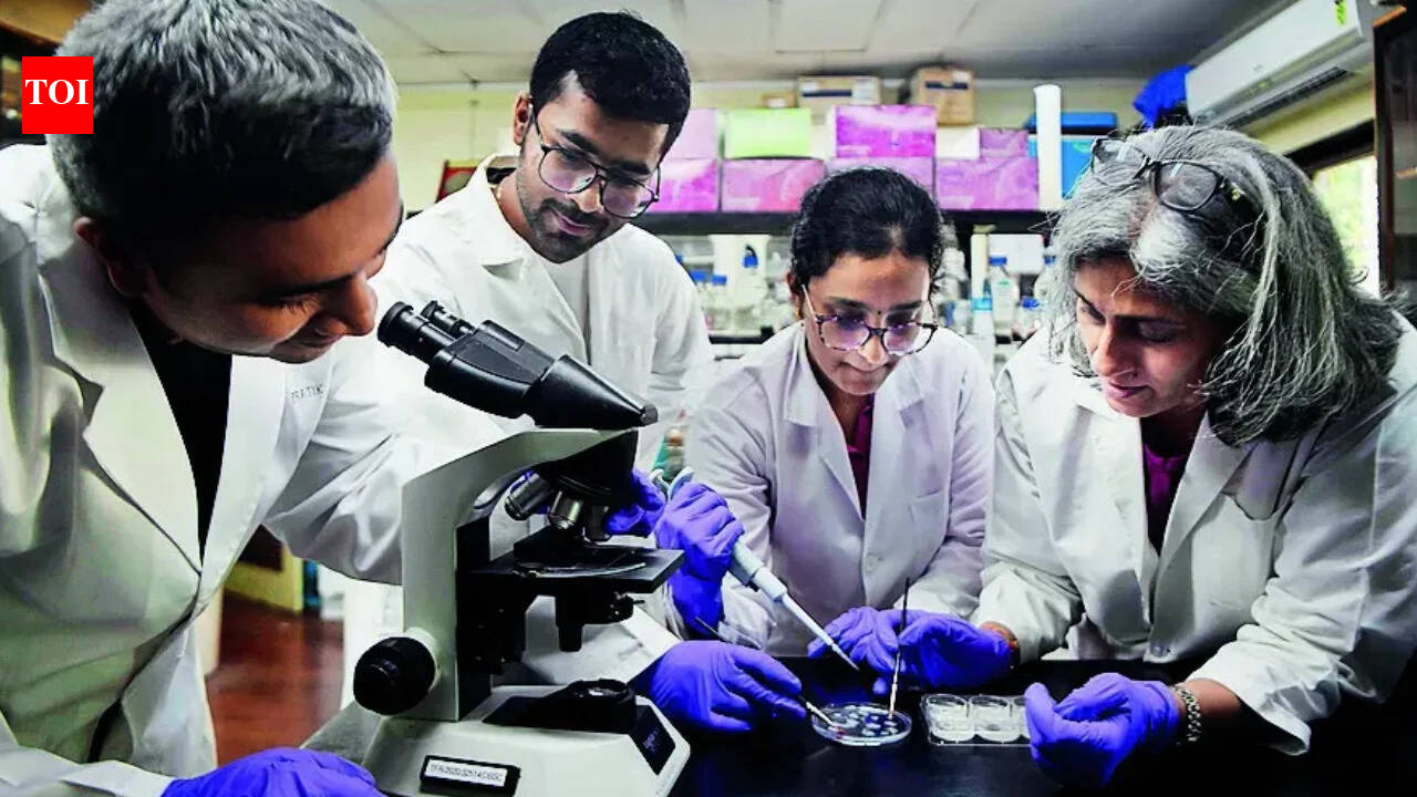 No conflict of interest in RDI Fund, says government