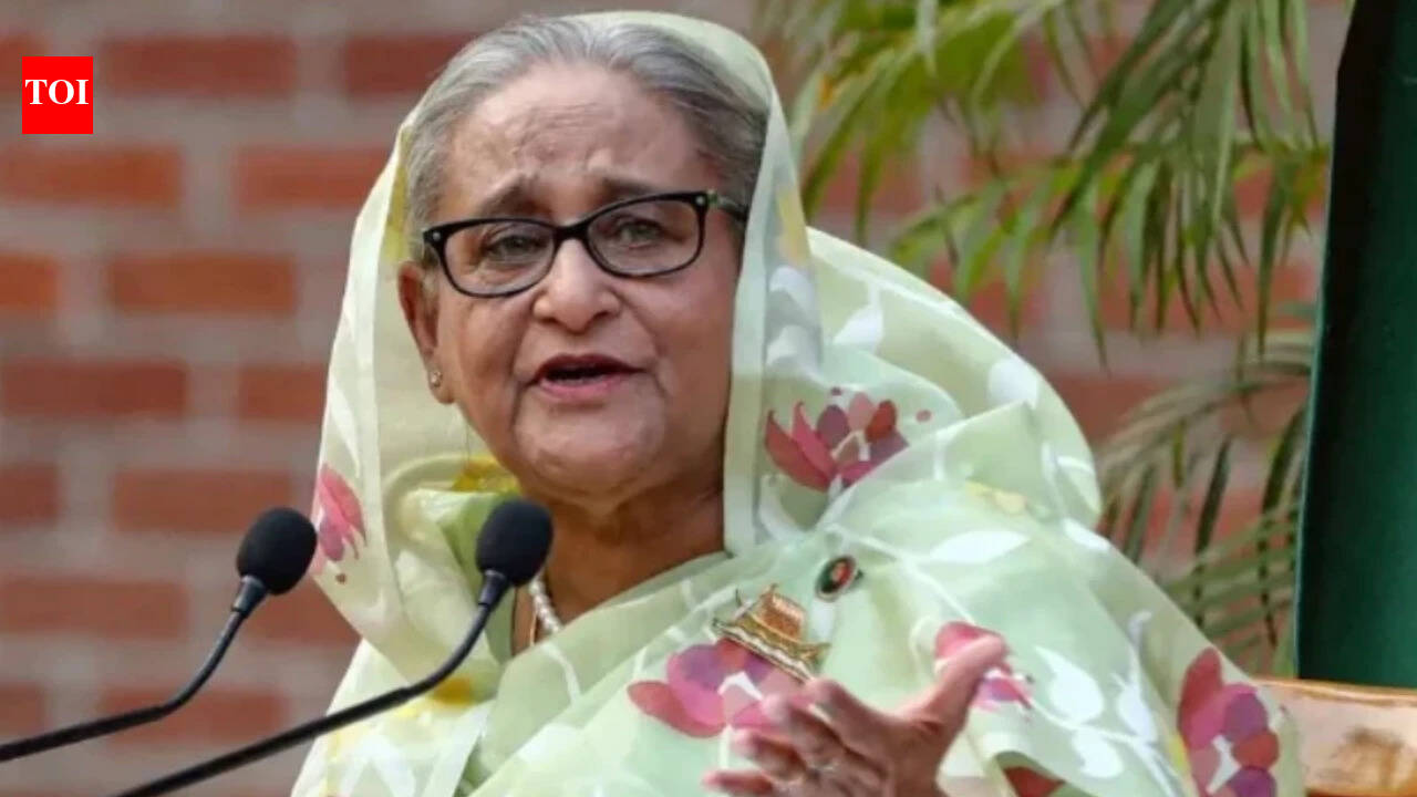 No government role, don’t endorse Hasina’s remarks at private media event: MEA