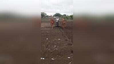 Loan waiver disbursed to 6.2 lakh farmer accounts in Maharashtra