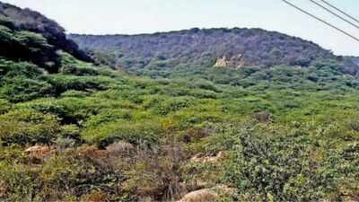 SC panel begins Aravali survey, calls for stronger legal shield