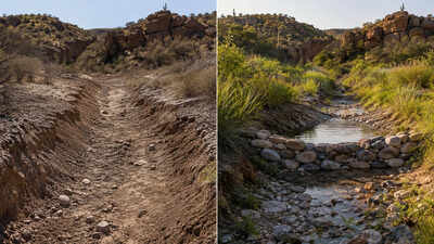 In 1982, an Arizona couple began building what became about 20,000 small rock dams across their desert ranch; one study found stream water increased 28% and flowed four weeks longer