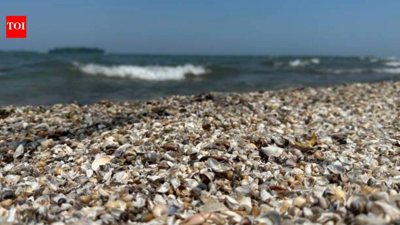 Zebra mussels are collapsing structures and pipes in Spain's Ebro River since 2001 with a population of 40,000 per square meter