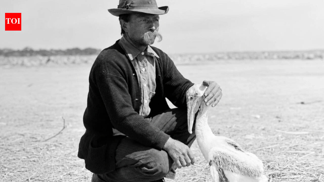 In 1903, a Florida boatbuilder became warden of a tiny island; his patrols helped protect America’s first federal bird refuge