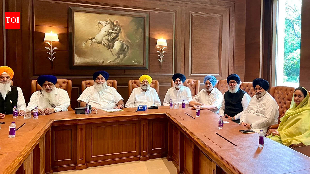 SAD backs women's quota, delimitation bills after Badal-PM Modi meet fuels buzz