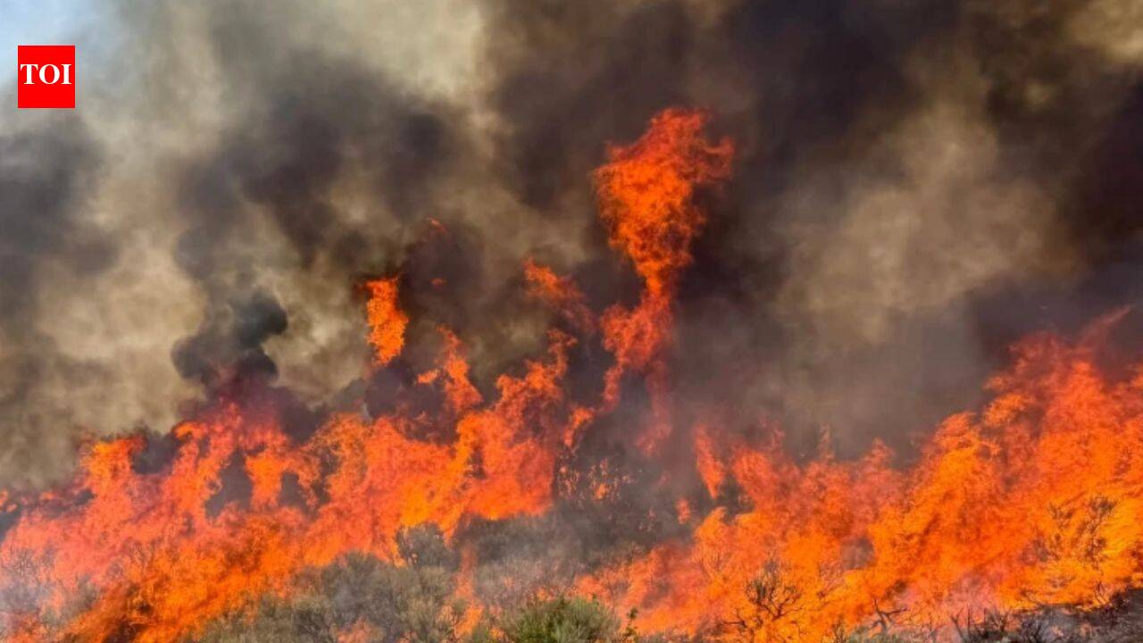 Utah wildfire: Helicopter with 2 onboard crashes while fighting massive blaze