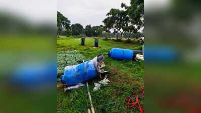 Elephant herds keep farmers off fields, hit paddy sowing in Tatijharia