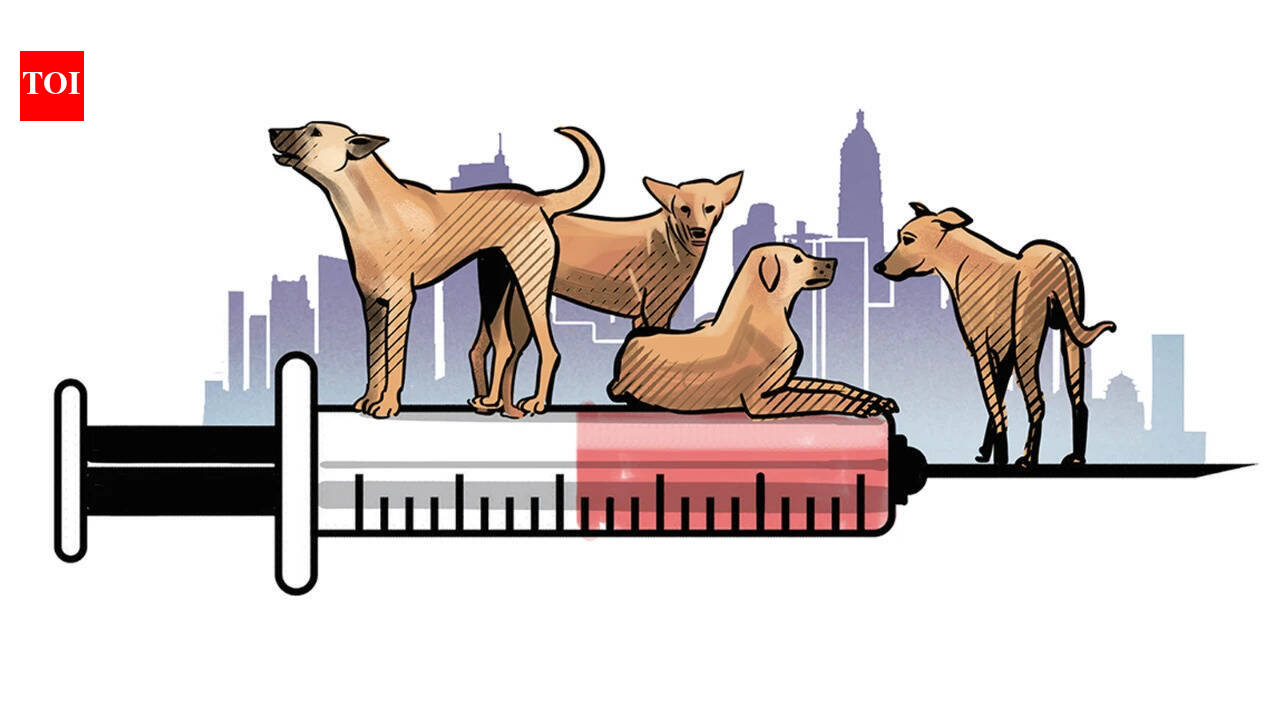 Snip, snip, skip: Why India’s stray dog count doesn’t add up