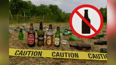 Bihar should withdraw alcohol ban as it failed to curb crimes against women: Report