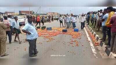 Tomato price crash triggers highway blockade by angry farmers