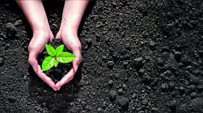 ISRO-NRSC study uses satellite data, AI to map soil health in Andhra farmland