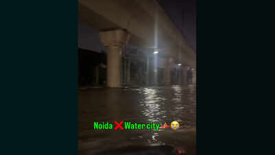 Noida or Venice? Woman shows waterlogged Sector 18, takes brutal dig at city