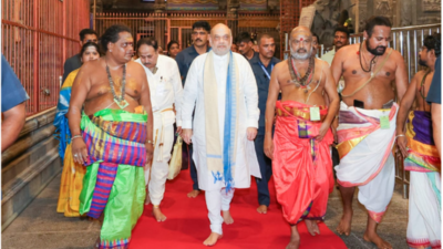 Amit Shah offers prayers at Tiruvannamalai temple