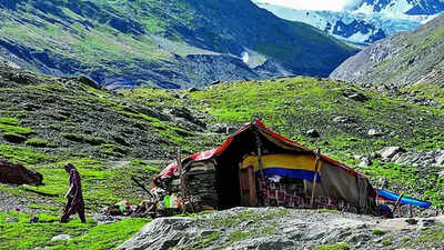 Kashmir route outpaces Manali as Ladakh tourism surges