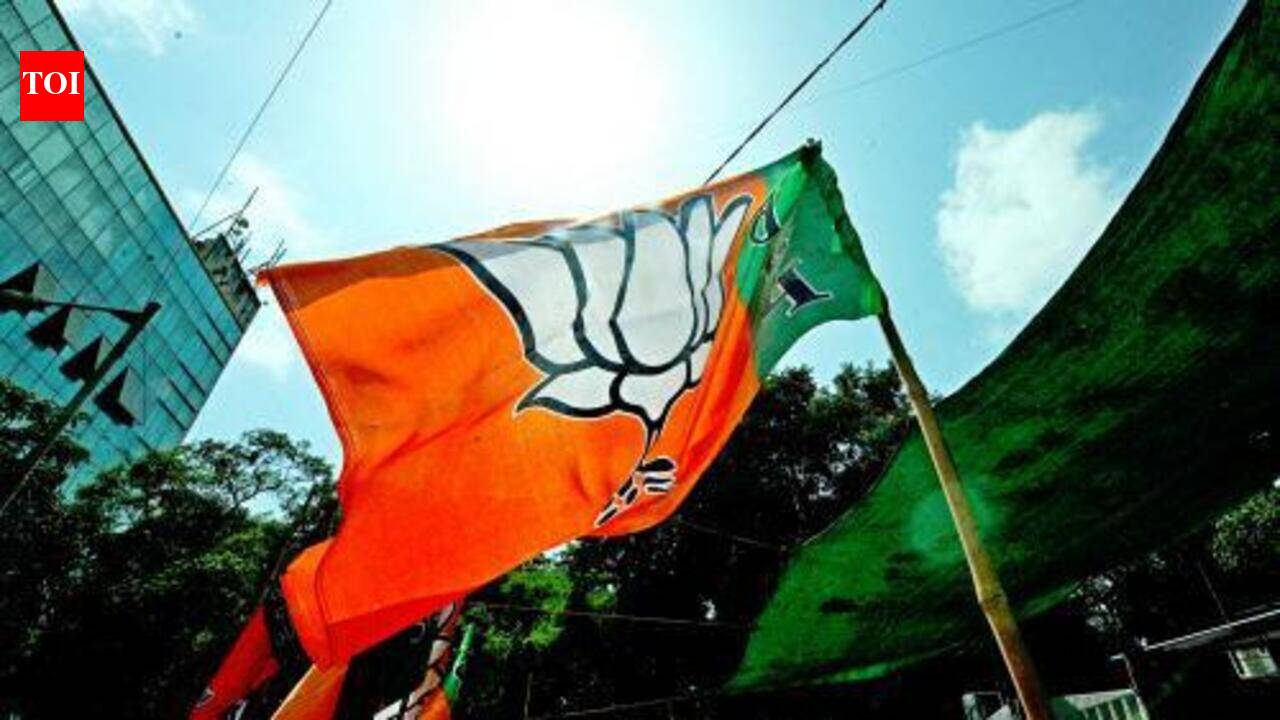 BJP Faces Uphill Battle for 2027: Wooing OBCs, Calming Upper Castes, and Winning Gen Z
