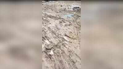 DM pays heed to emotional appeal of kids to repair road