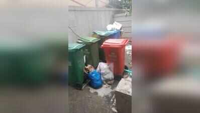 One month after Moshi tragedy, PCMC’s waste management struggles to recover