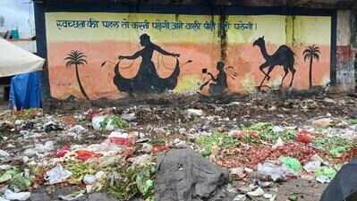 Garbage, stray animals turn Jaipur mandis into health hazards