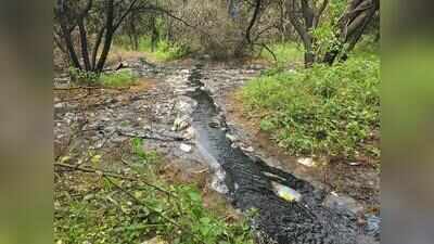 Bandhwari leachate flows towards Mangar after heavy rain