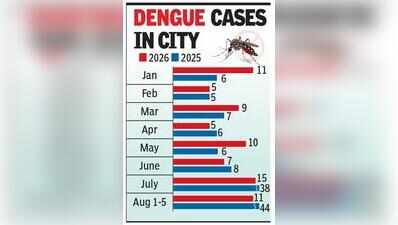 15 cases in Jul, 11 in Aug: Dengue stings city