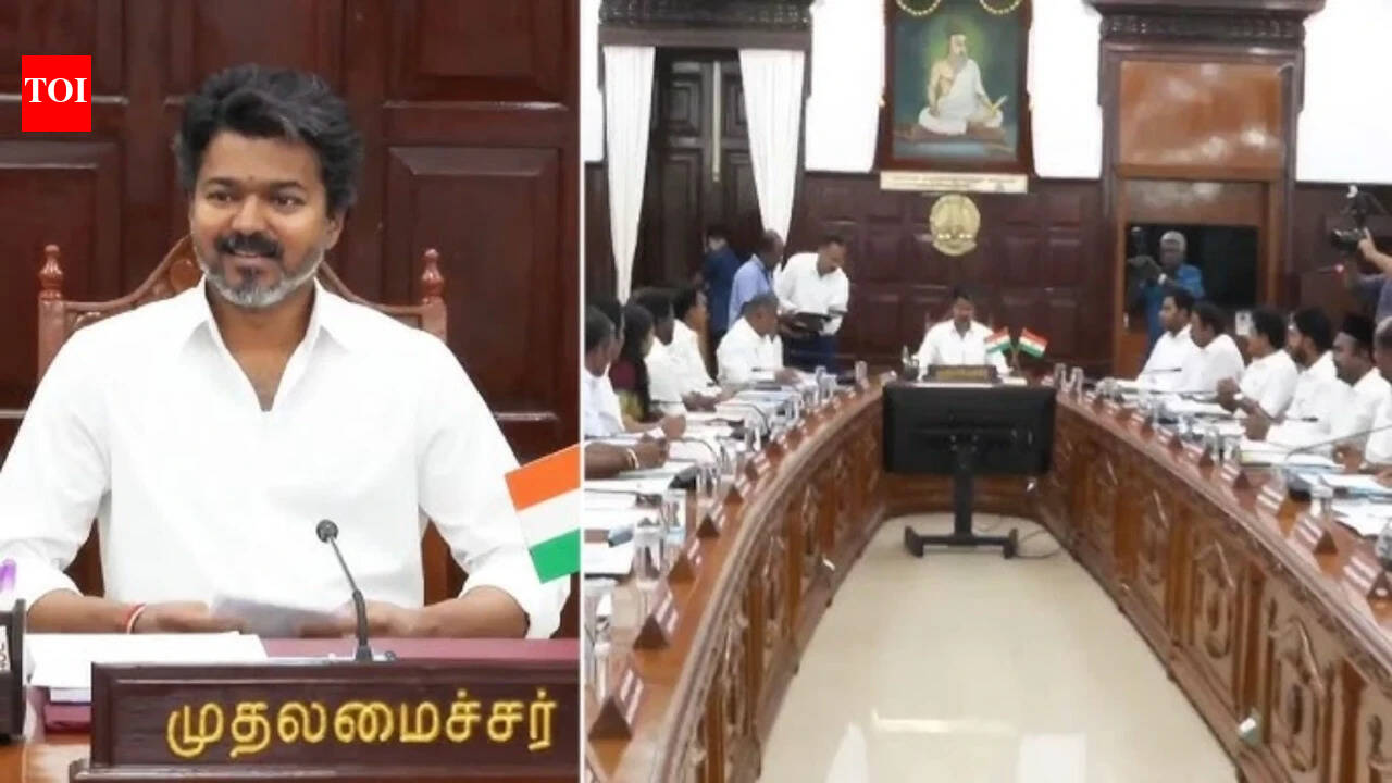 Kanimozhi calls Vijay's delimitation meet 'political drama'