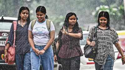 With 98.7mm rain, Delhi records wettest August day in 2 years; more showers likely today