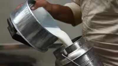 After Andhra Pradesh, Maharashtra hikes milk prices by Rs 2 per litre from August 11