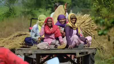 Mega drive launched in Pilibhit to empower rural women; target 1.87 lakh families
