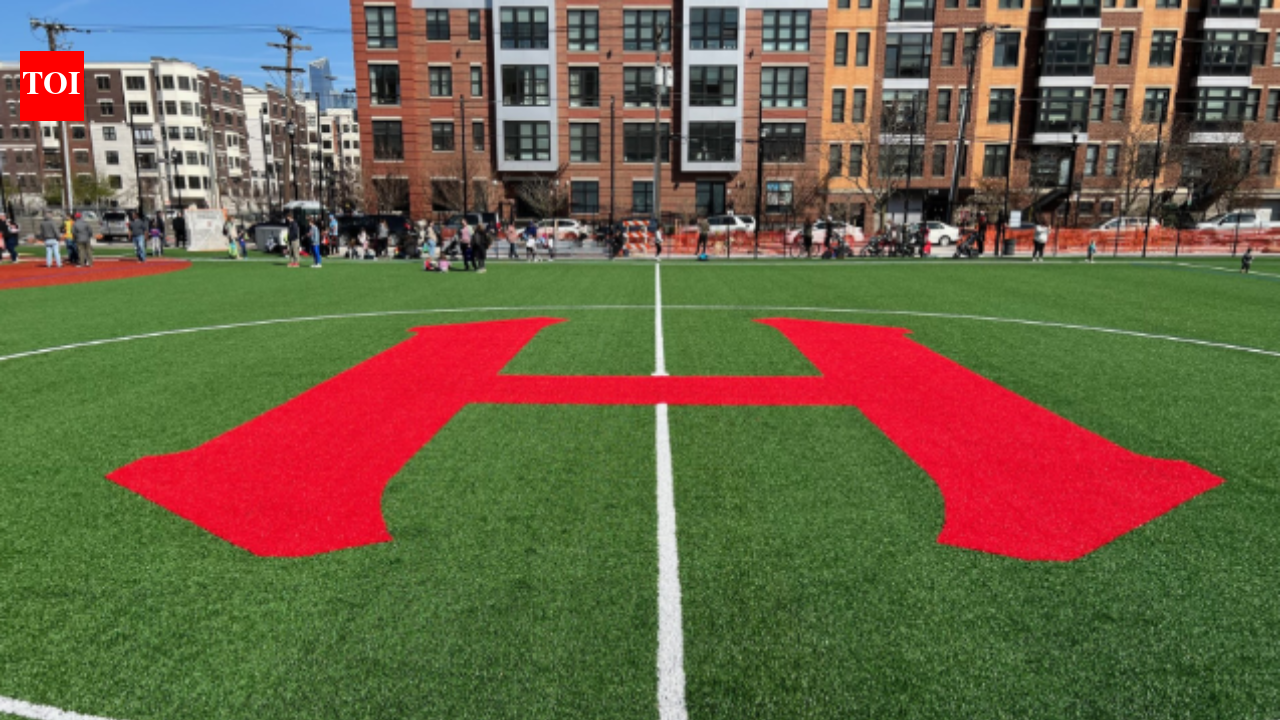 In 2023, Hoboken opened a 5.4-acre park on a former industrial site; its playgrounds can...
