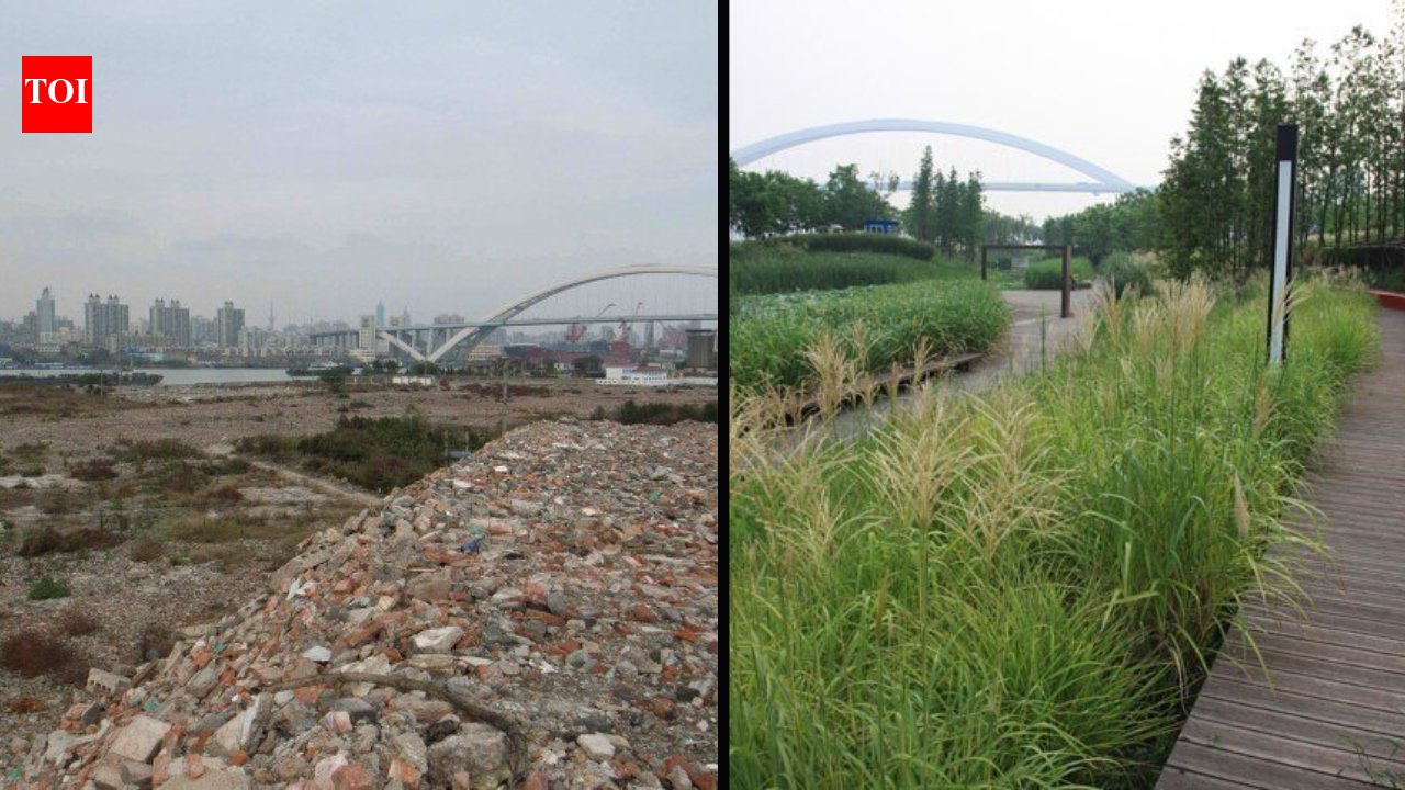 In 2010, Shanghai turned a polluted industrial brownfield into Houtan Park