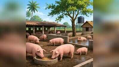 Farm shut down after lab report confirms ASF