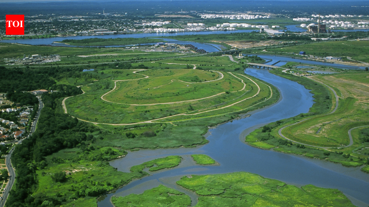In the 1990s, New York chose wetlands over conventional storm sewers on Staten Island
