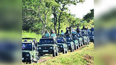 Kaziranga to bump up jeep & jumbo safari charges after a decade