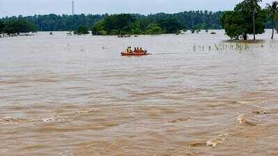 Flood-like situation in north Odisha; 1 drowns, 1 missing