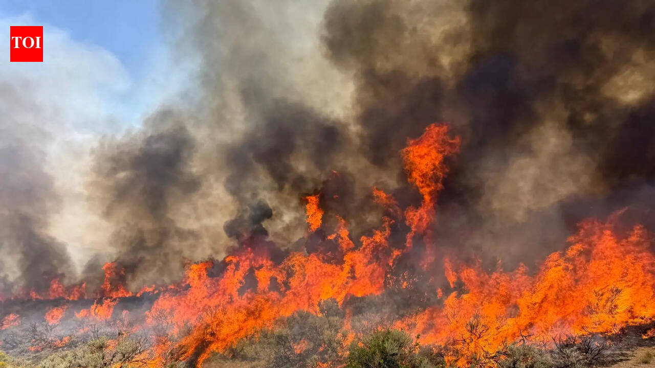 Utah wildfire: 2 helicopter pilots confirmed dead after crash while battling blaze