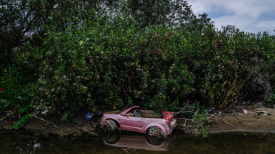 In 1986, a California city began polishing sewage through constructed marshes; the 307-acre system is now a wildlife sanctuary that has hosted over 300 bird species