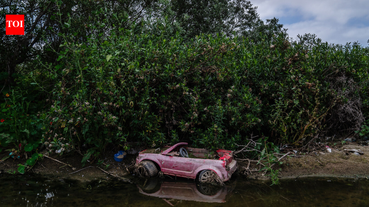 In 1986, a California city began polishing sewage through constructed marshes