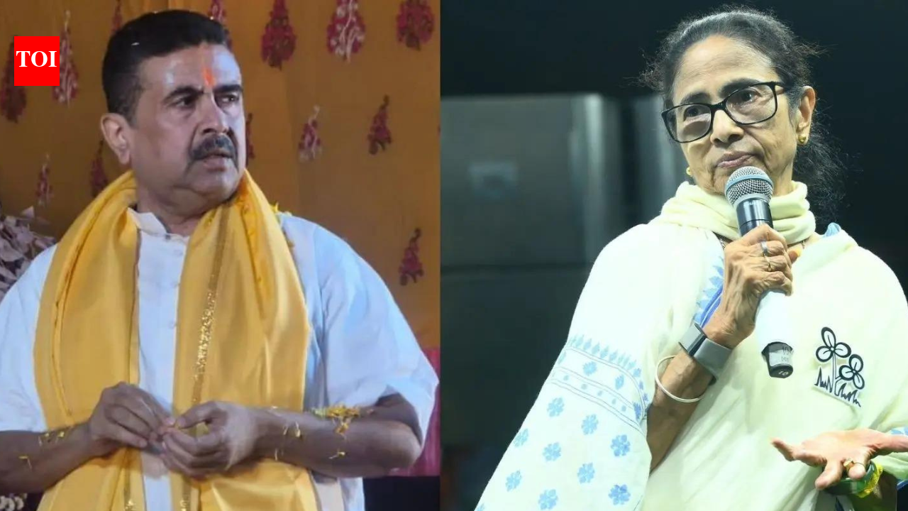 'Reflection of public anger': Suvendu Adhikari after Mamata Banerjee faces protests, called 'chor'