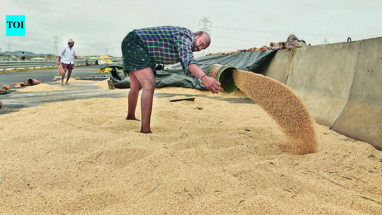 As procurement outpaces offtake, Punjab runs out of room for its harvest