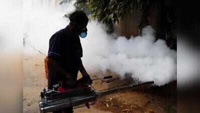 Defaulters dodge anti-larvae challans, MC plans SMS alerts