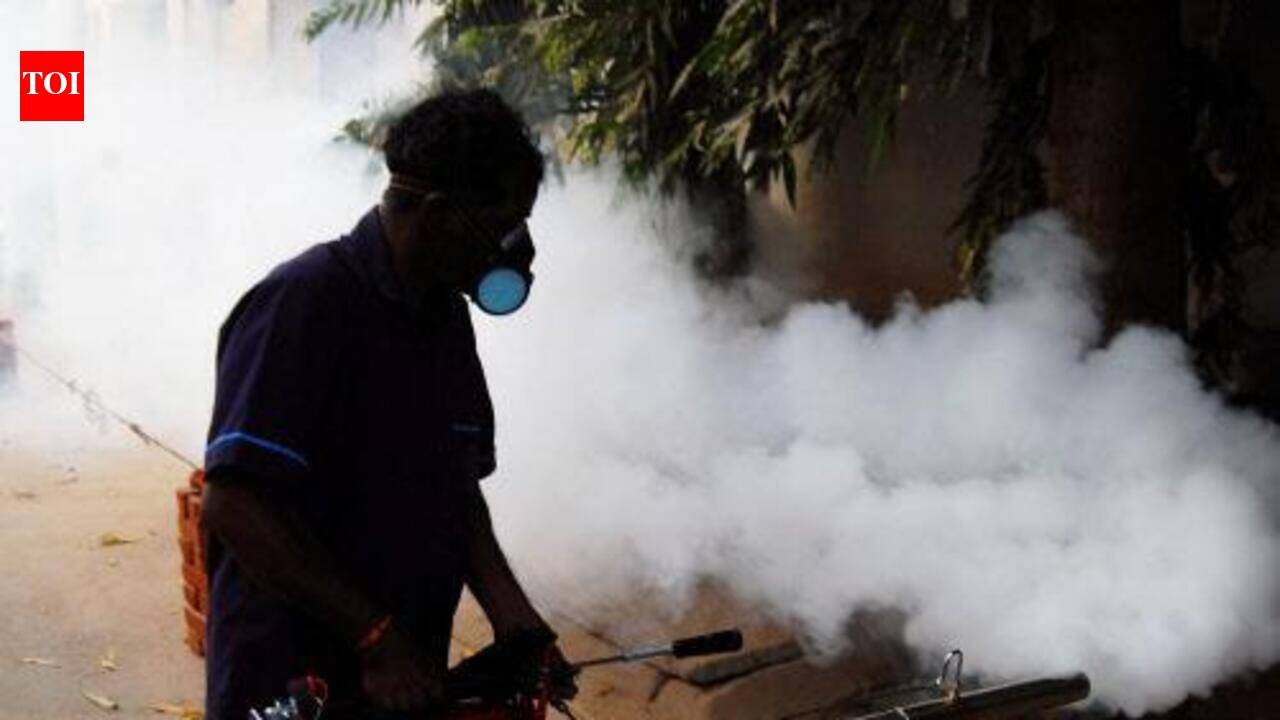 Defaulters dodge anti-larvae challans, MC plans SMS alerts