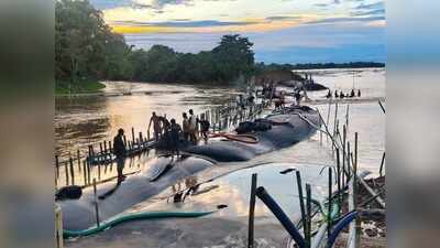 Jorhat repairs 4 flood breaches, DC says all 9 to be sealed by Aug 15