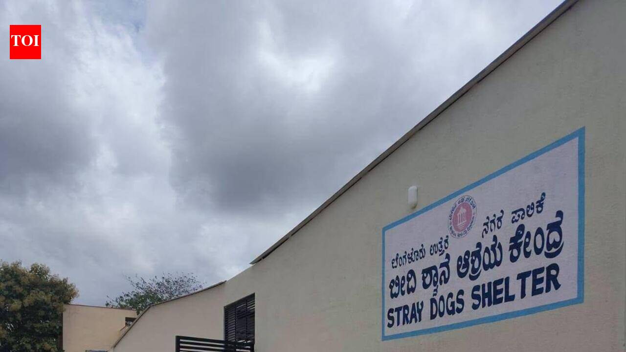 Stray dogs in Bengaluru north corporation limits to check-in at new shelter this week