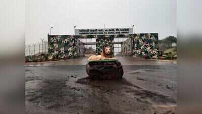 100ha in Ambardi park to house lions involved in human attacks