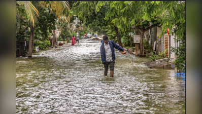 Leptospirosis cases surge nearly 125-fold in Telangana in two years