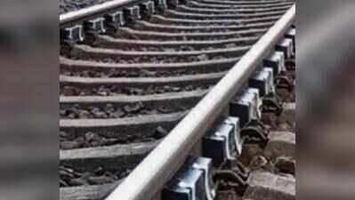Wildlife plan prepared for Goa rail project clearance: Centre