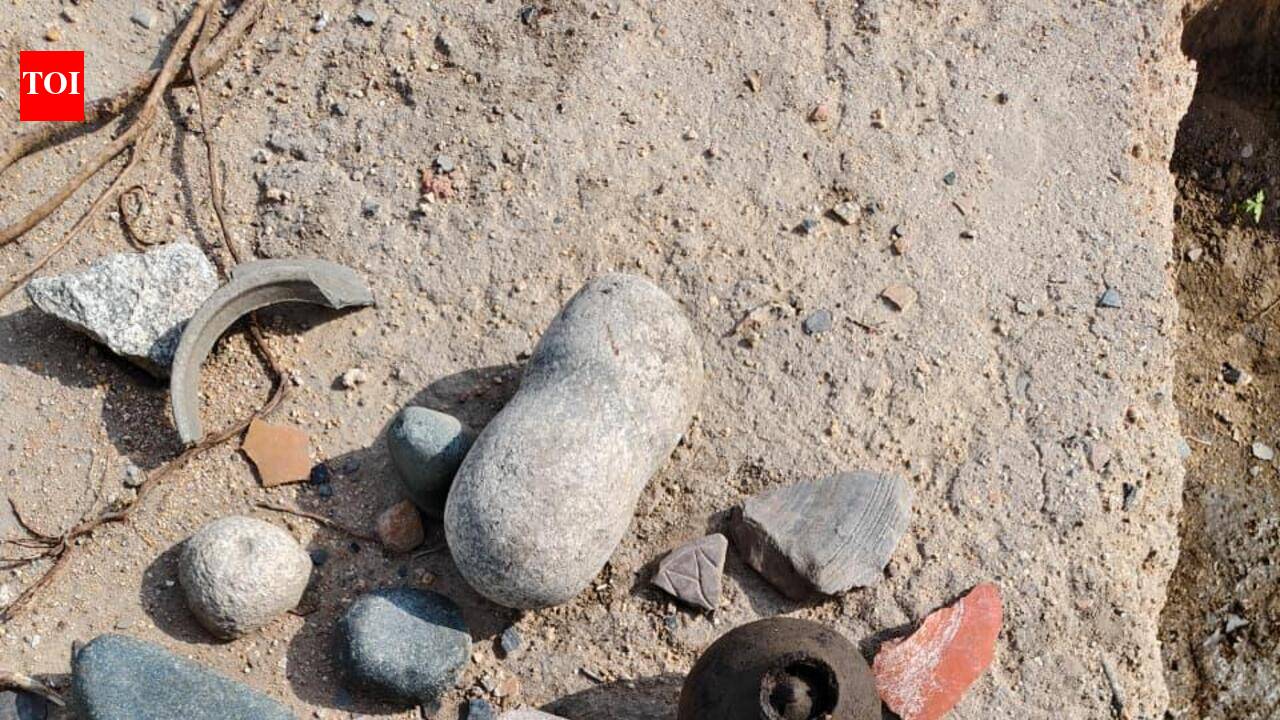 Ancient caves, rock paintings found at Indrapalanagaram in Yadadri dist