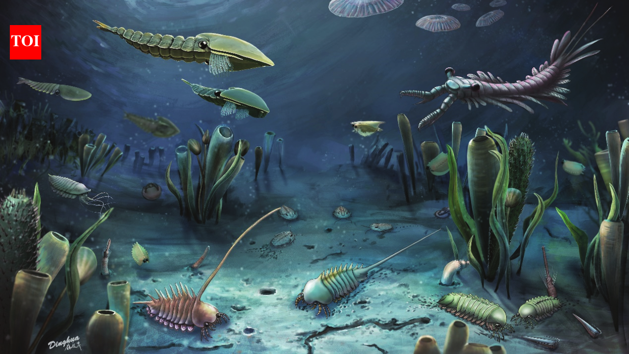 Scientists discovered that animal poop triggered the evolution of life on earth